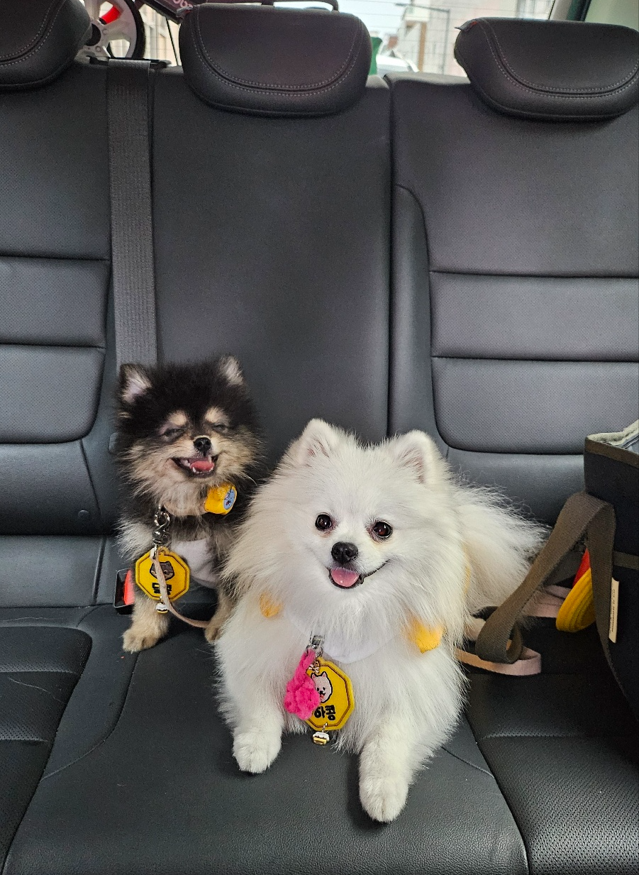 놀러가서 행복한 하콩&amp;달콩