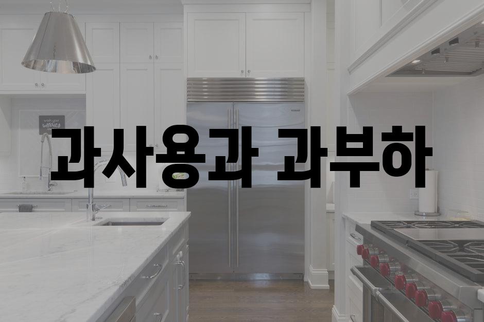 과사용과 과부하