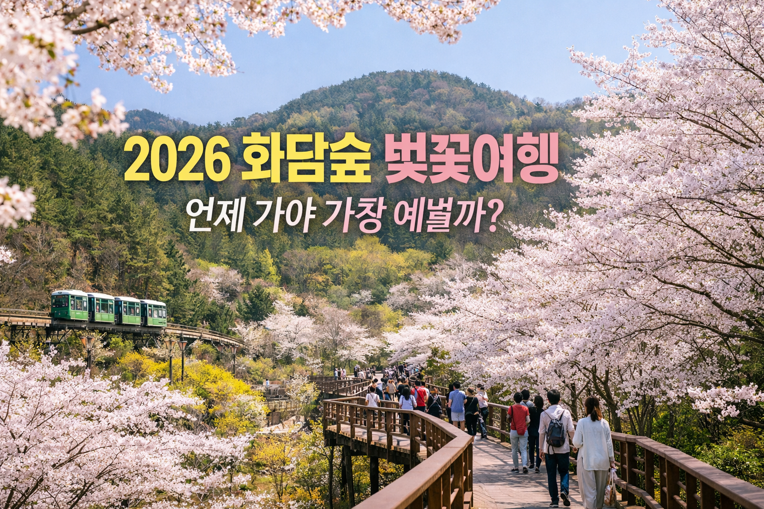 2026 화담숲 벚꽃여행 가이드 🌸 화담숲 꽃구경 방문시기부터 예약까지 한눈에 정리