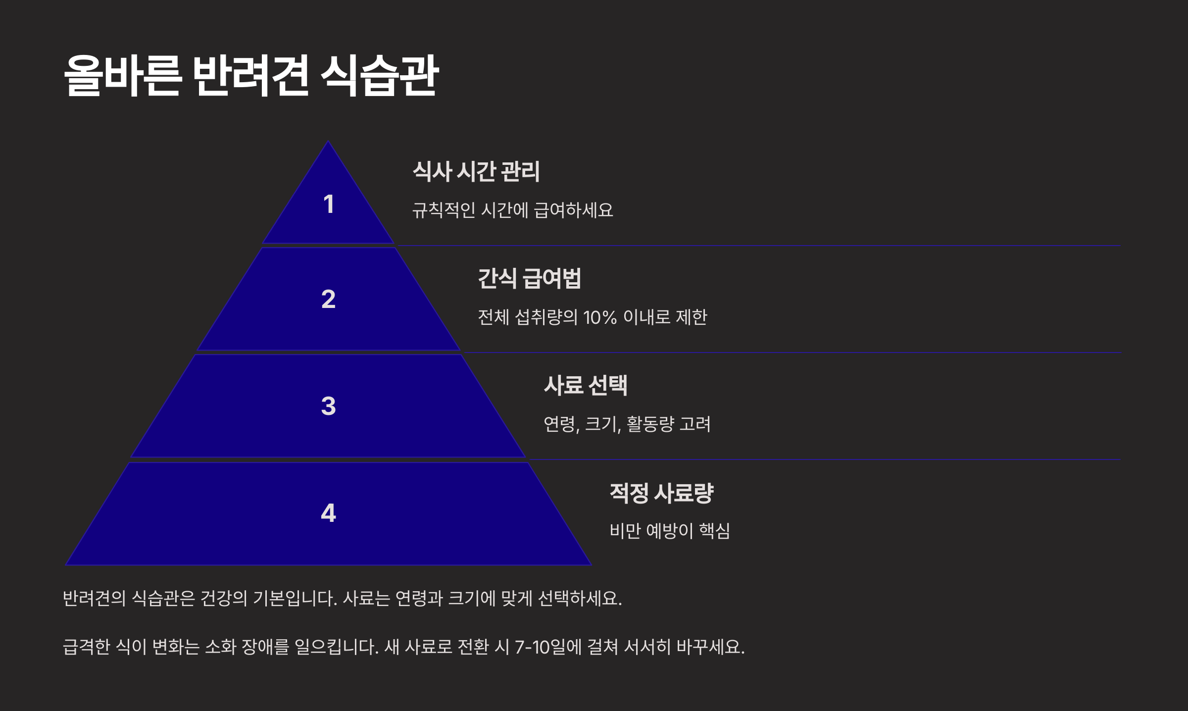 반려견 키우기 완벽한 초보 가이드