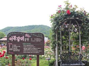 5월 강추 꽃 축제