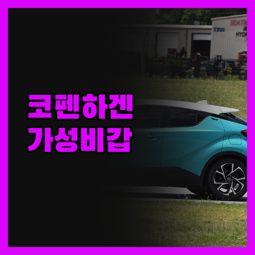 웨이크업 코펜하겐 베른스토르프스가데,