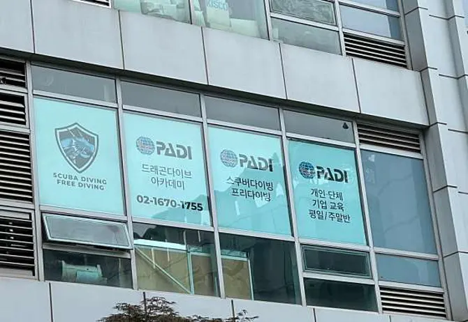 드래곤다이브아카데미