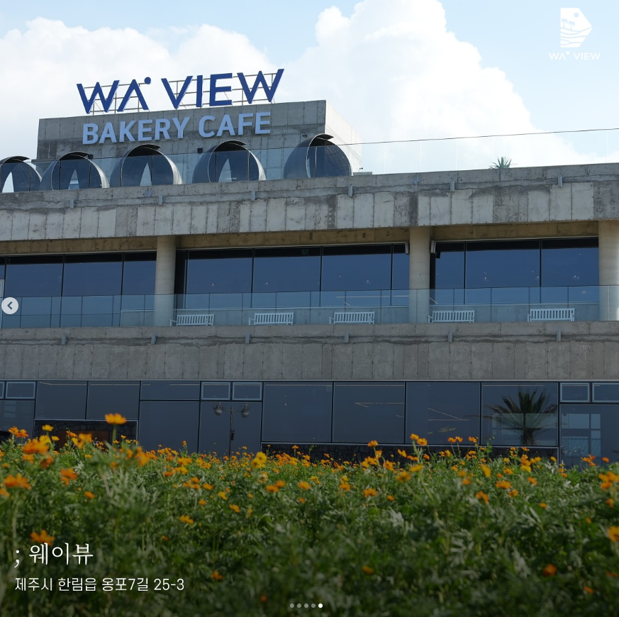 ์จ์ด๋ทฐ ์ฝ์ค๋ชจ์ค ์ถ์ 