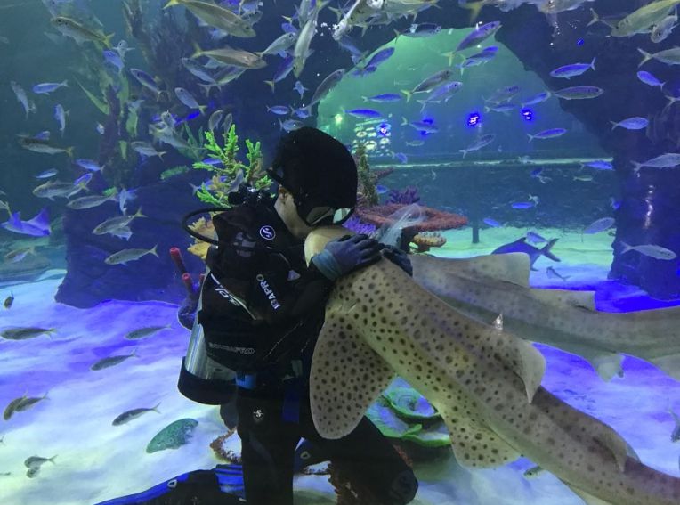 플레이아쿠아리움 부천