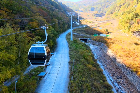 정선-가리왕산-케이블카