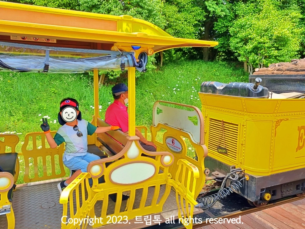 노란색 열차에 두 사람이 타고 있다.