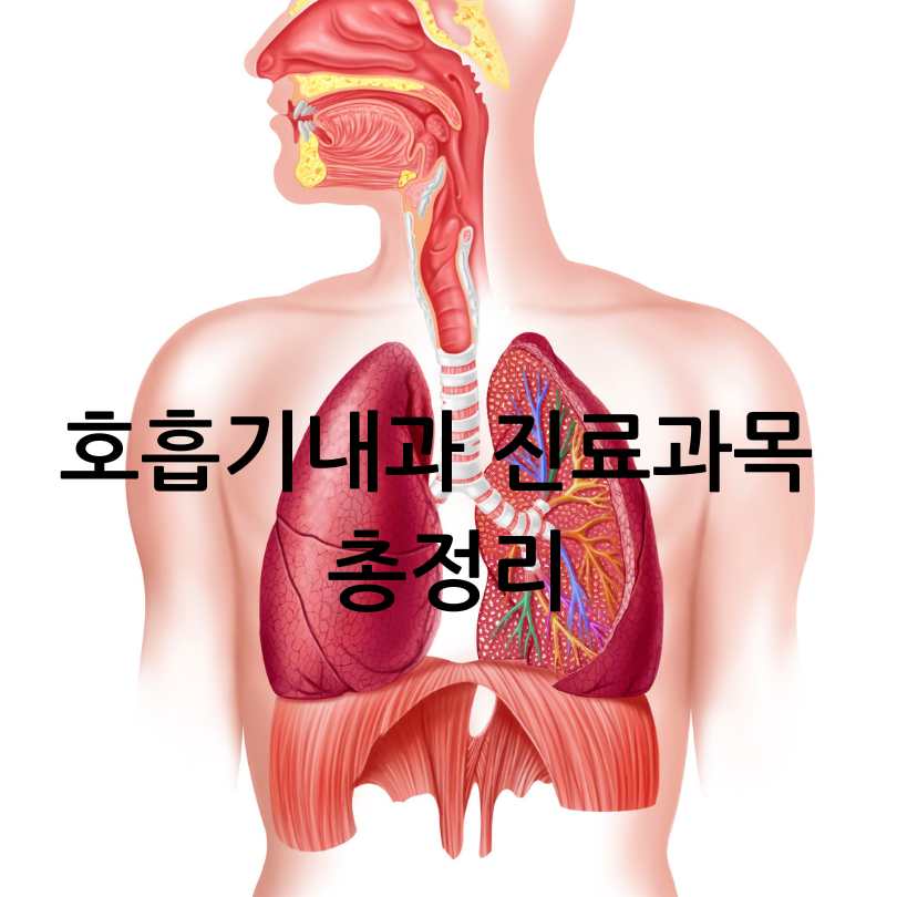 호흡기내과 진료과목