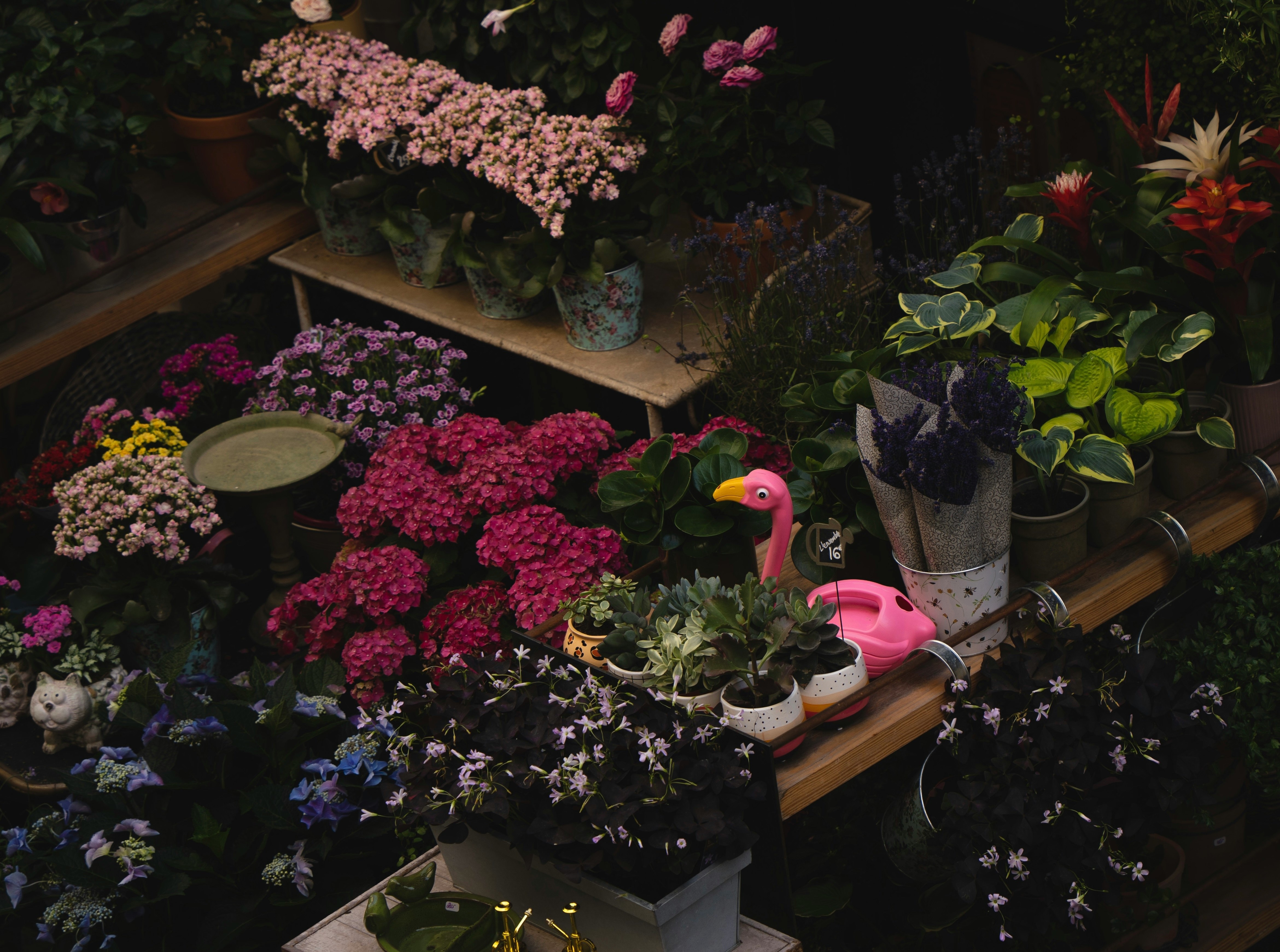 흙 교체 타이밍