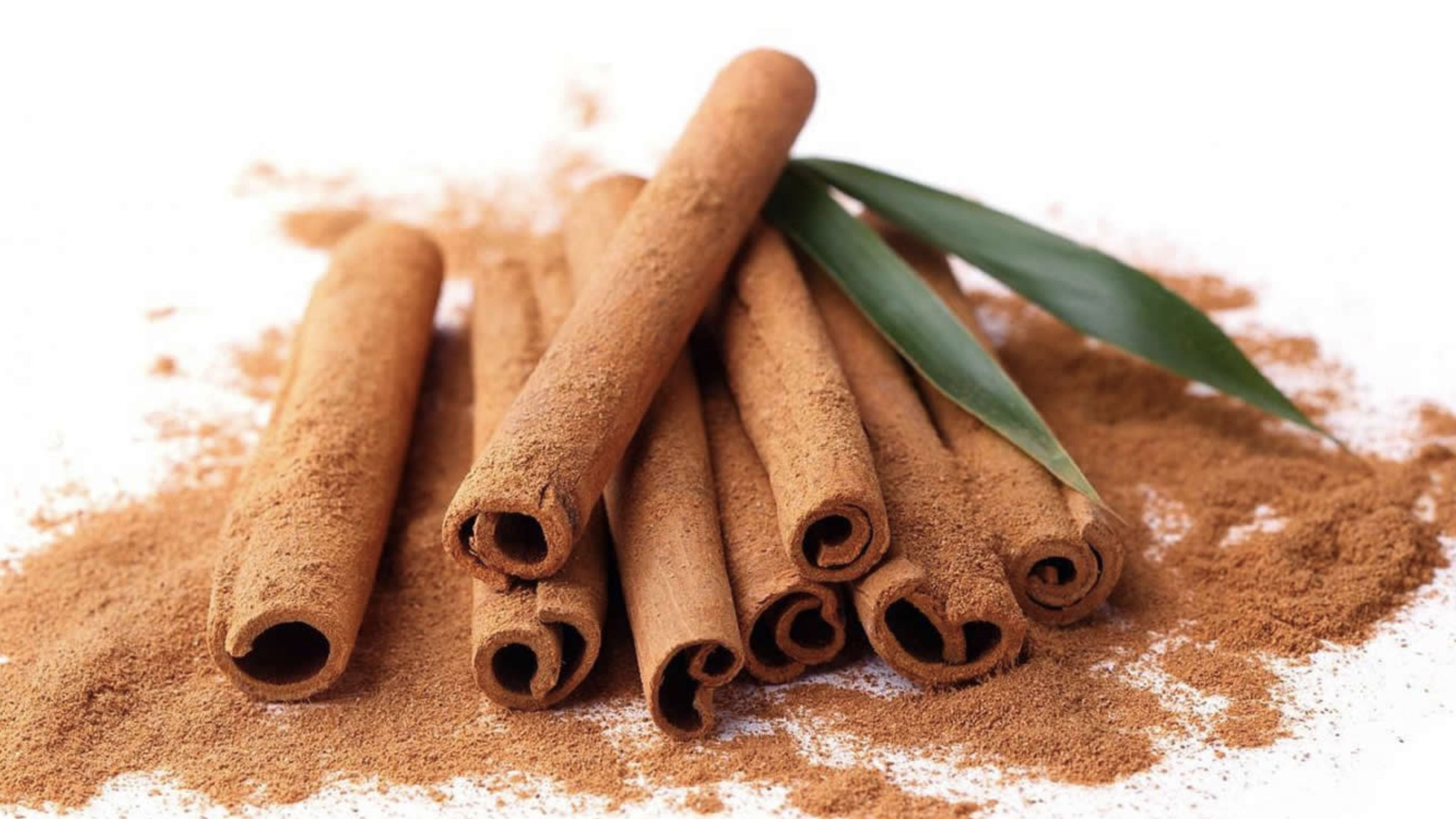 Cinnamomum cassia