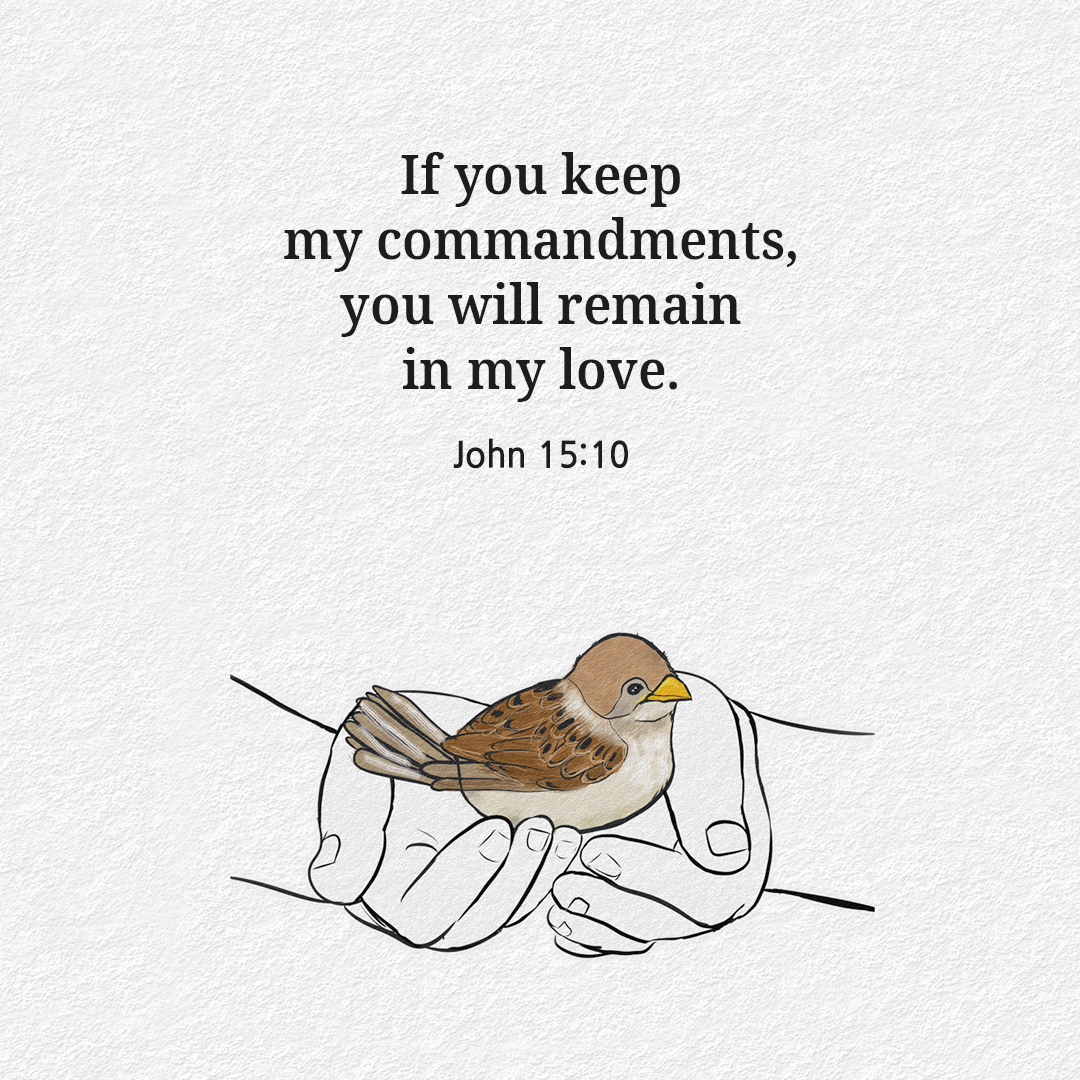 If you keep my commandments, you will remain in my love. (John 15:10)