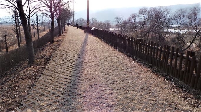 흐린 햇빛 비치는 뚝방길, 와플 무늬의 보도불럭,