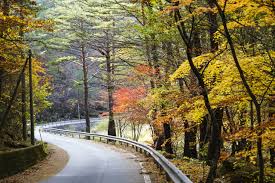 가을단풍 드라이브 코스