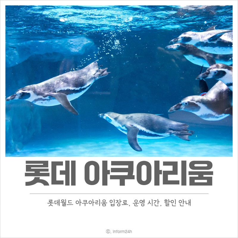 롯데월드-아쿠아리움-입장료-운영-시간-할인