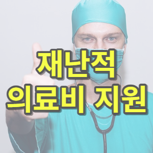 재난적 의료비