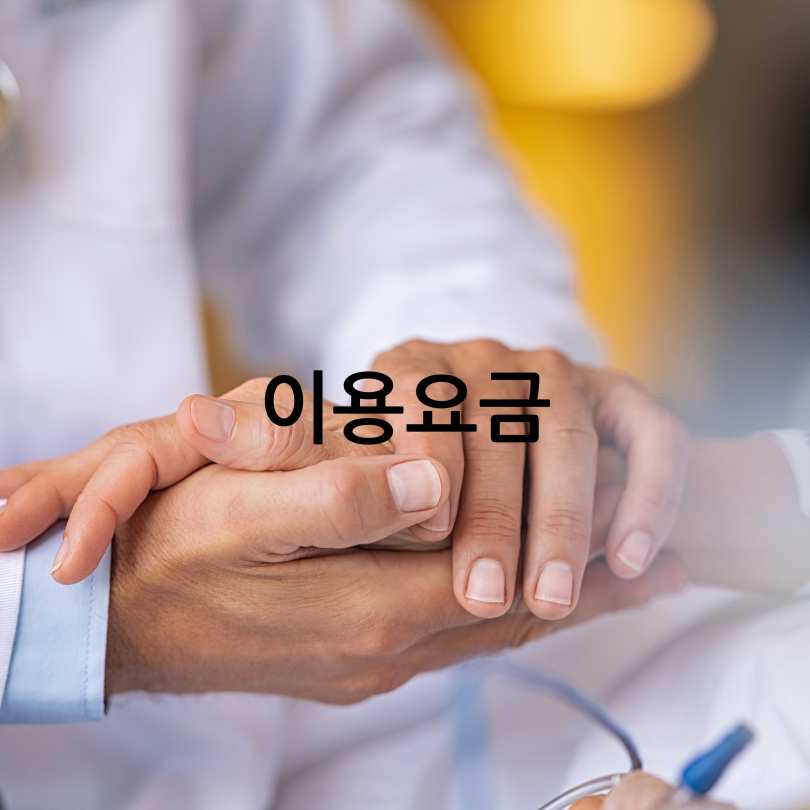 서울시 병원안심 동행 서비스