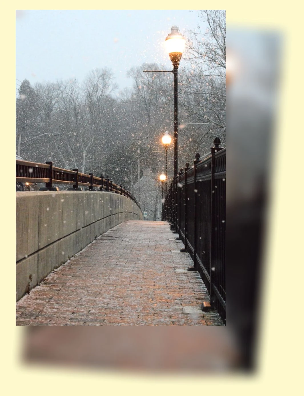 고양이 겨울철 화상 예방_1_subsection