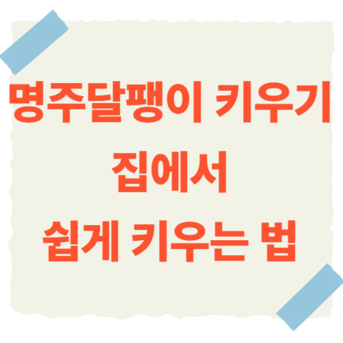 명주달팽이-키우기-썸네일