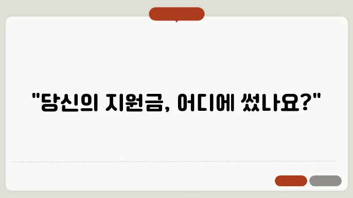 민생 지원금 사용처