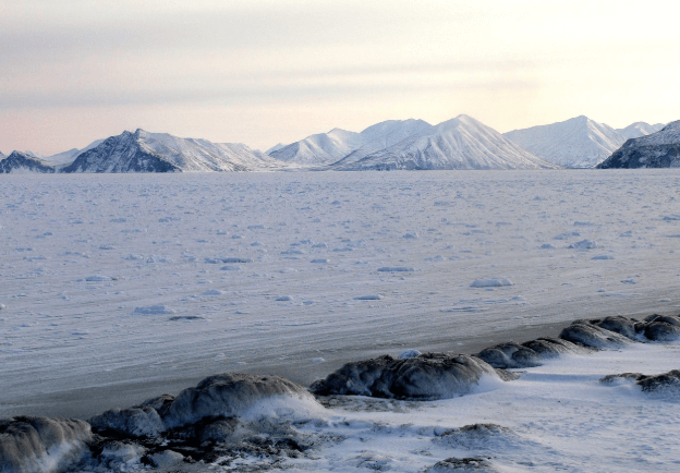 제로웨이스트 식품 산업의 혁신과 지속 가능한 먹거리 문화
