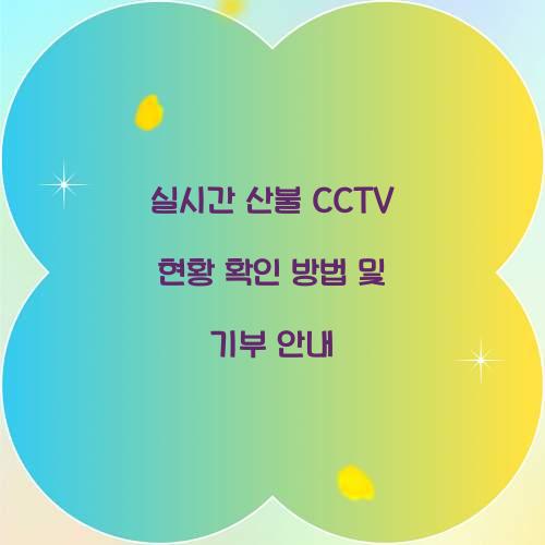 실시간 산불 CCTV 현황