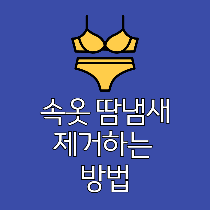 속옷땀냄새제거