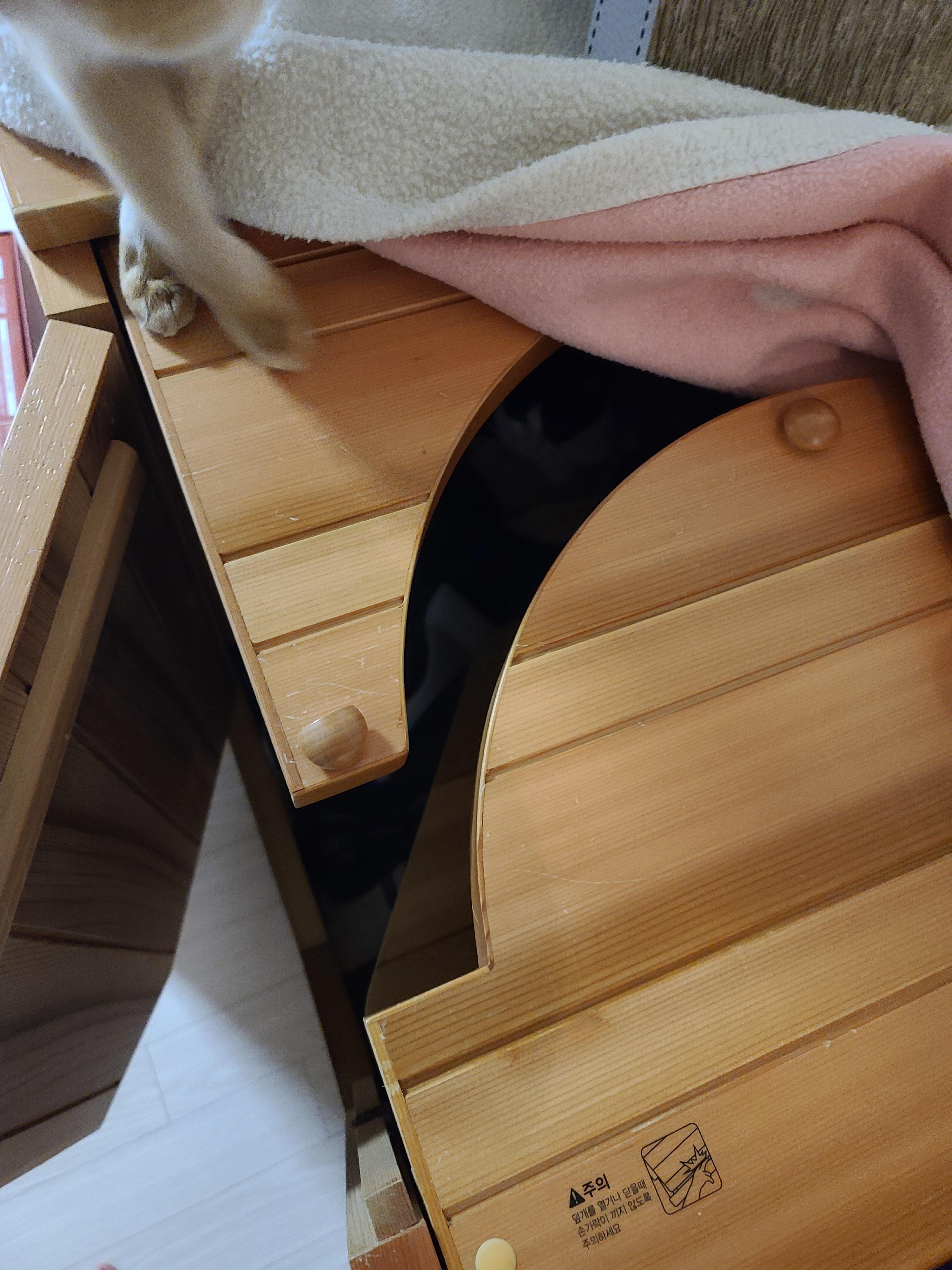 우리집엔 비싼 고양이들 숨숨집이 있다. 건식반신욕기 숨숨집.