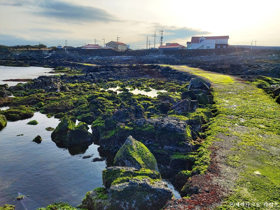 제주해안풍경사진