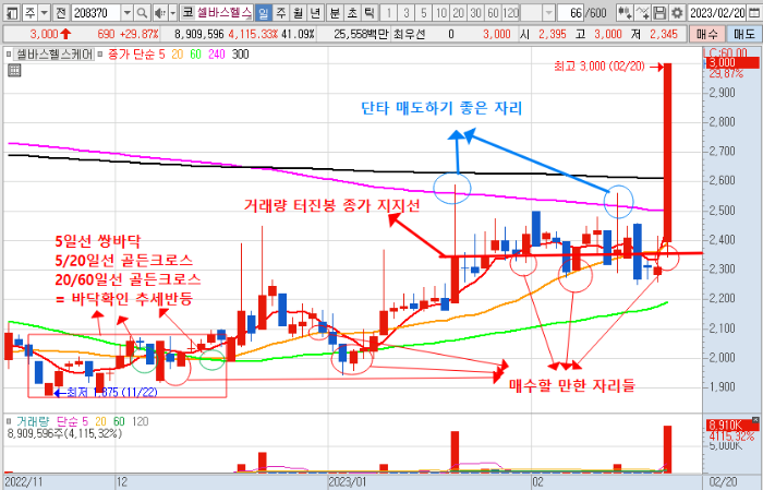 2월 20일 셀바스헬스케어 일봉 차트