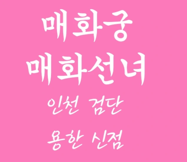 매화궁 매화선녀