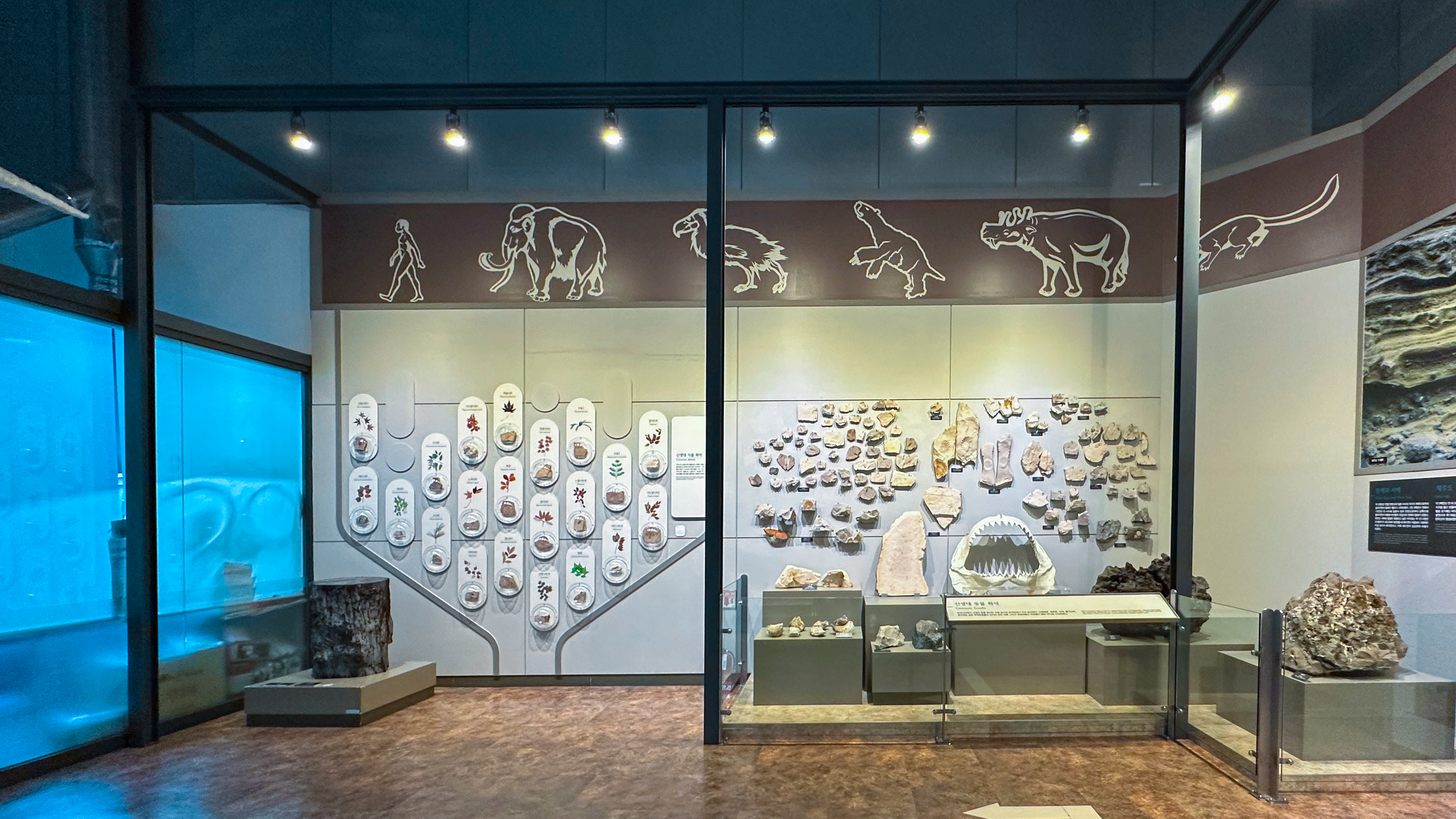 국립 중앙 과학관