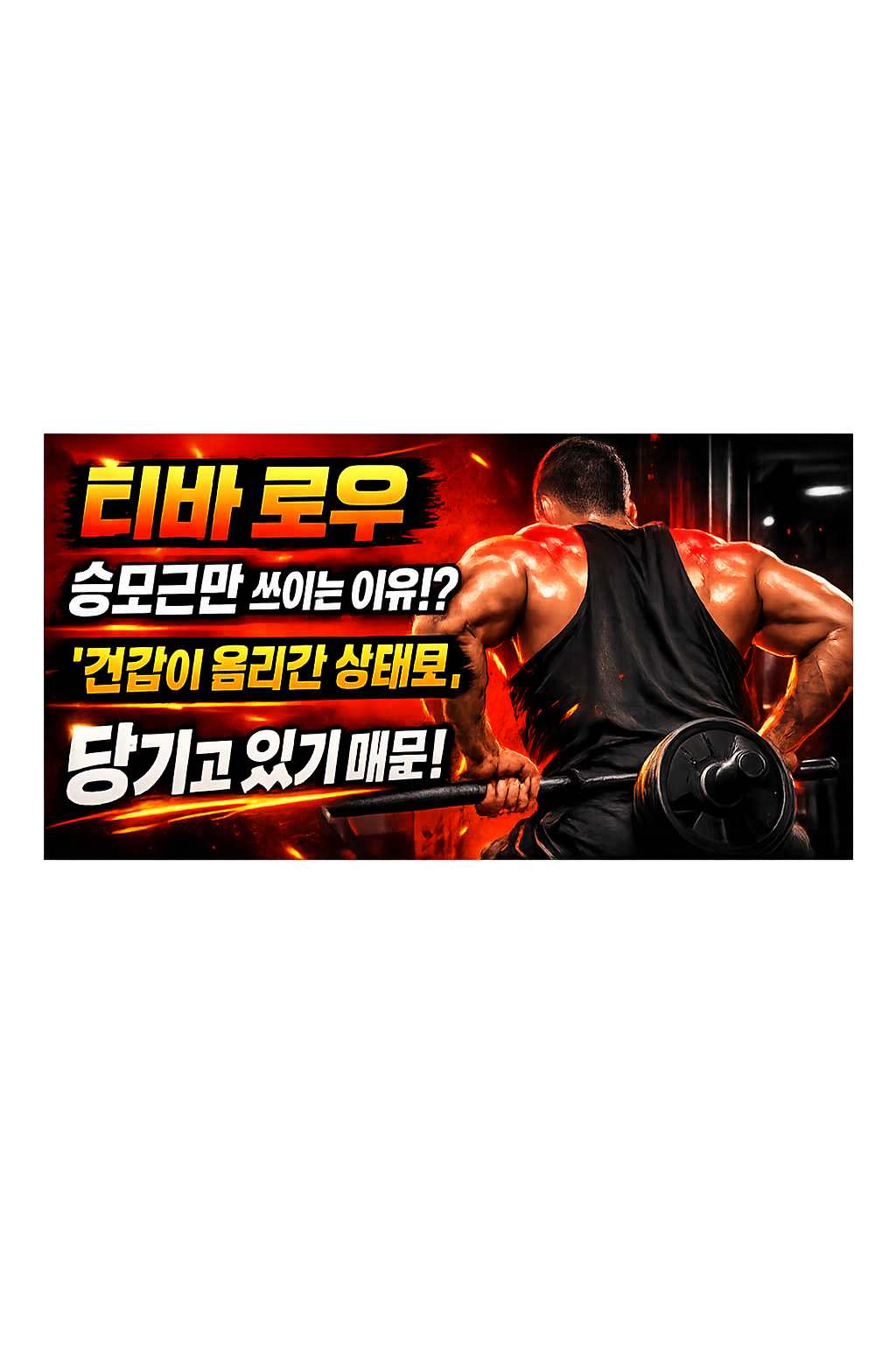 티바 로우에서 승모근만 쓰이는 이유