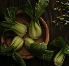 비타민A 복용시간 풍부한 식품