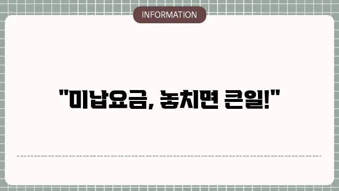 하이패스 믹주움 므은 이번의 연인자鍊類