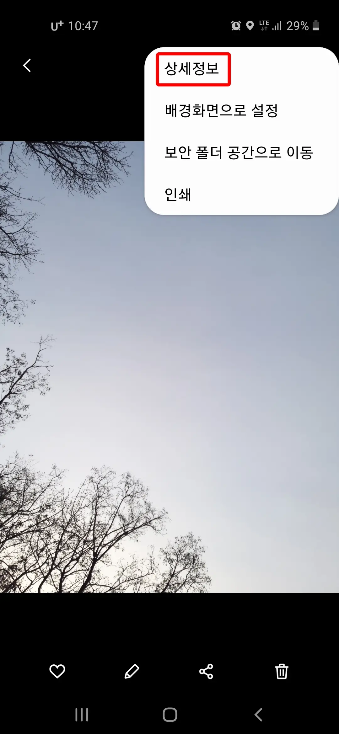 상세정보