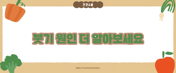 눈두덩이가 붓는 이유 (+부기 원인별 정리)