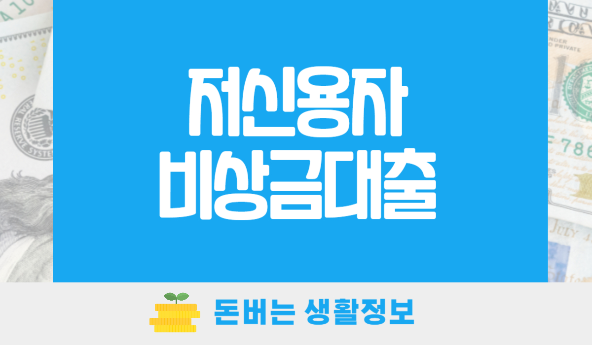 저신용자비상금대출