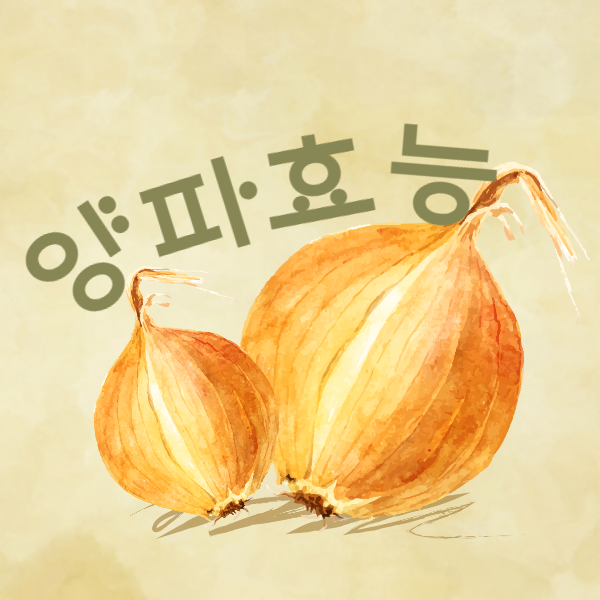 양파 효능│ 양파의 효능 알고 드세요!