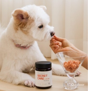 반려동물 영양제 추천 TOP 5 