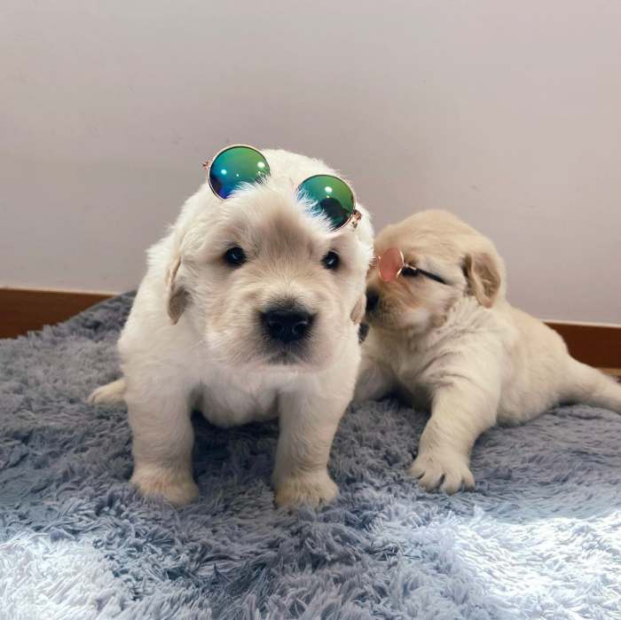 생생정보 틈새 알바 이거 어때