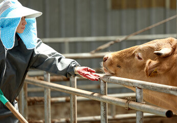 2025년 소상공인 폐업지원금 신청방법 지원내용