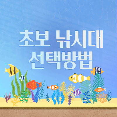 초보 낚시대 선택 방법 - 초보 - 낚시대 - 서프대 - 루어대