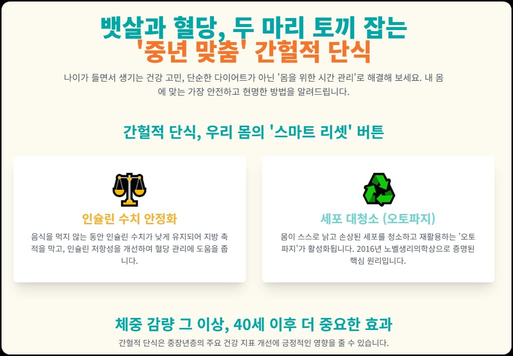 뱃살과 혈당, 두 마리 토끼 잡는 '중년 맞춤' 간헐적 단식의 모든 것