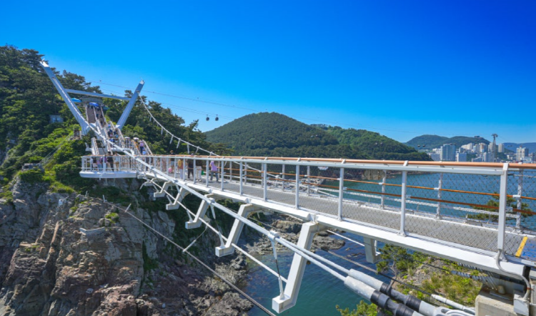 송도 용궁구름다리