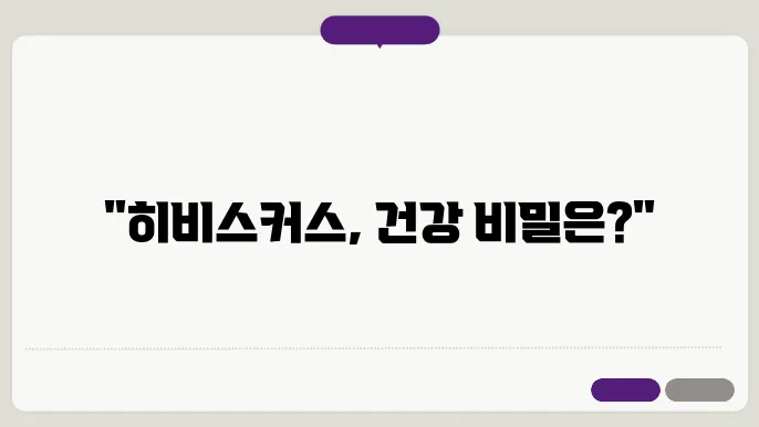 히비스커스의 영양 성분