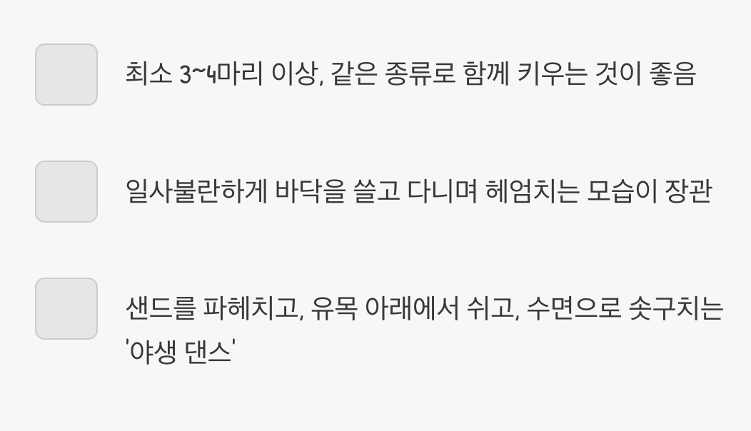 '떼' 지어 노는 모습, 군무의 즐거움