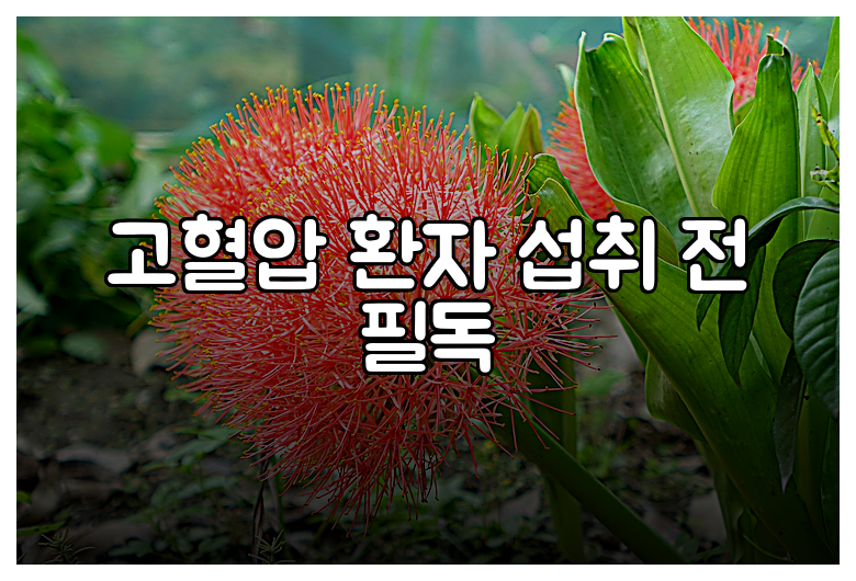 고혈압 환자 섭취 전 필독