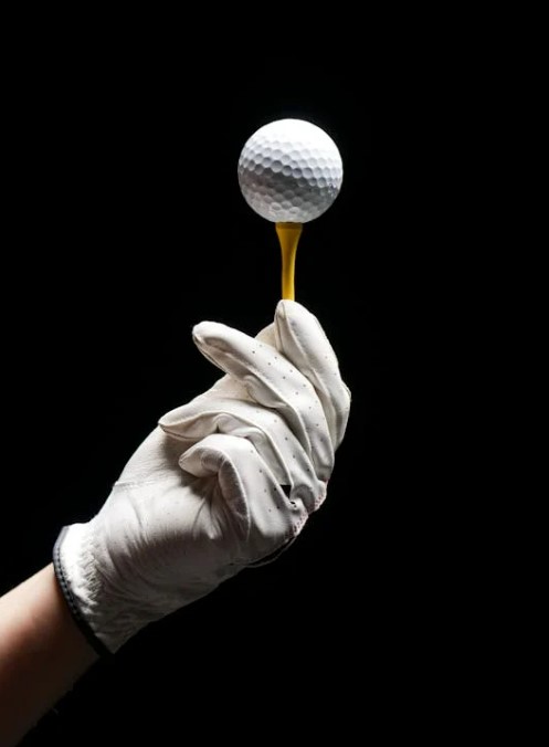 2025 프리미엄 골프장 입회비 비교 및 분석