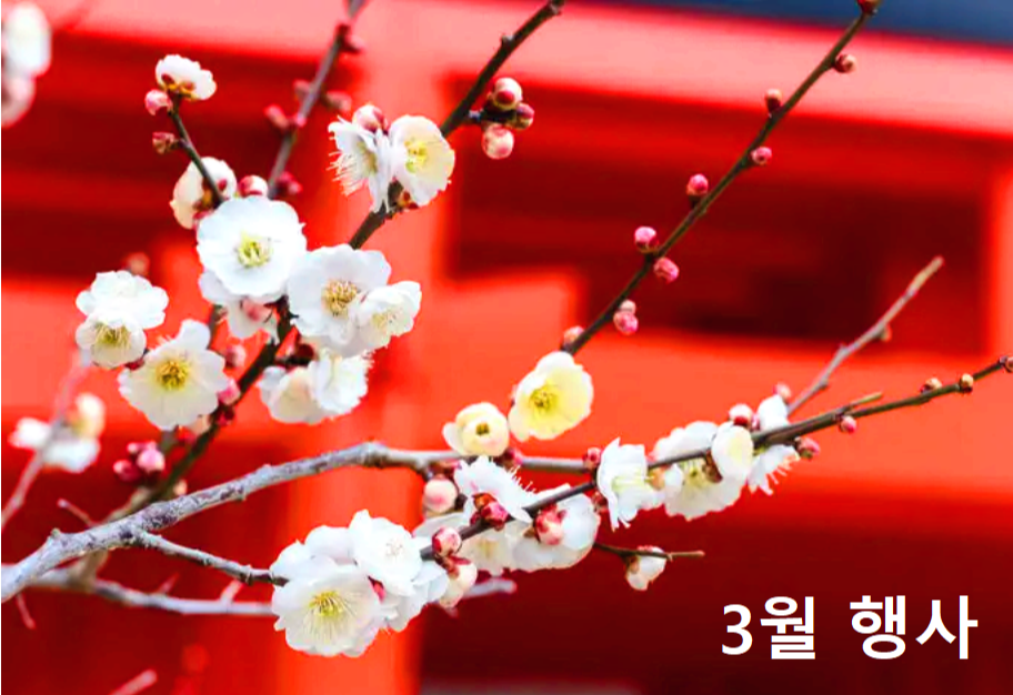 3월축제