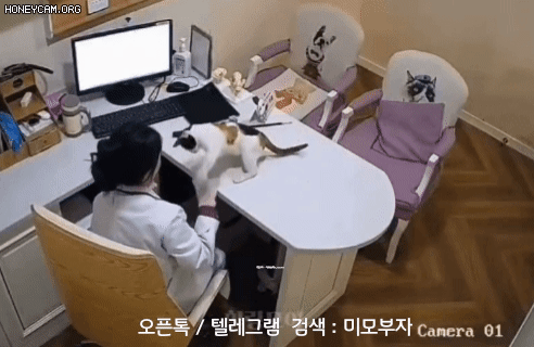 11월 29일 수 신문스크랩